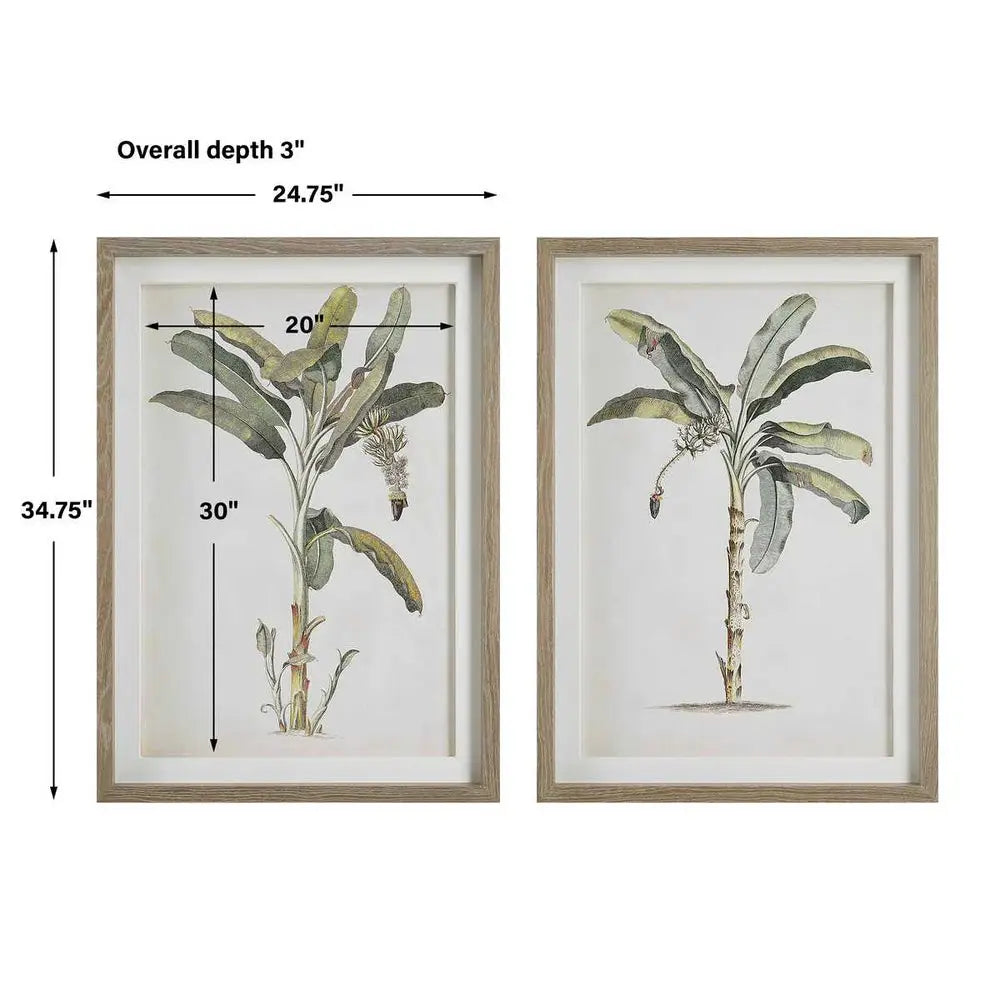 Banana Palm Framed Prints, S/2