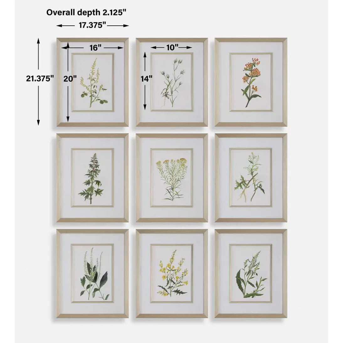Botanical Prints, S/9