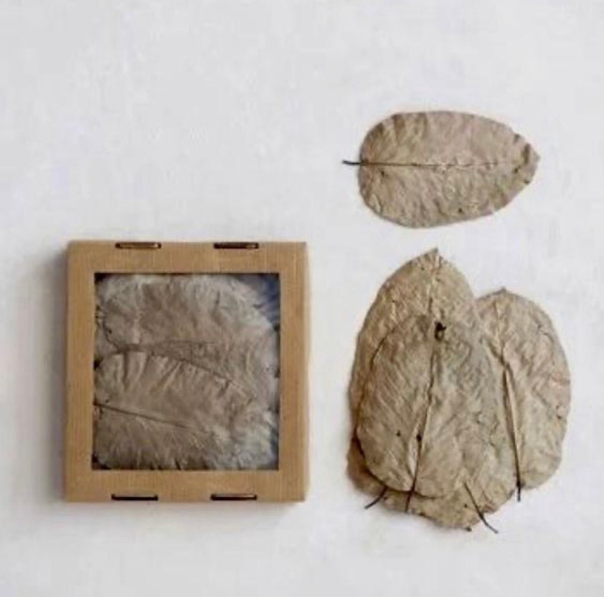 Box of Dried Assorted Leaves