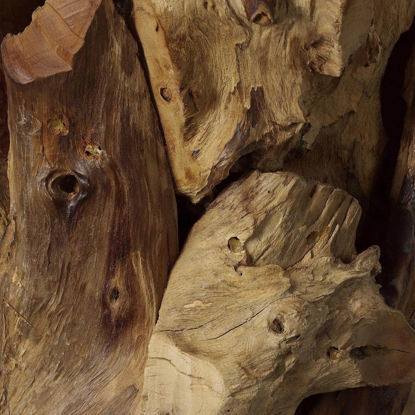 Glass Top Teak Driftwood Coffee Table