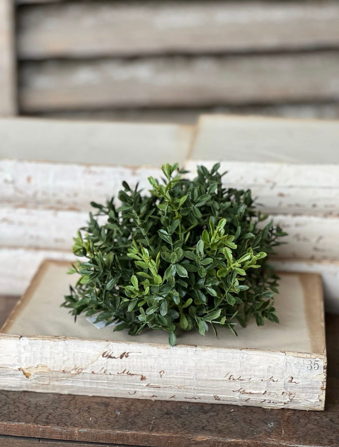 Boxwood Half Sphere