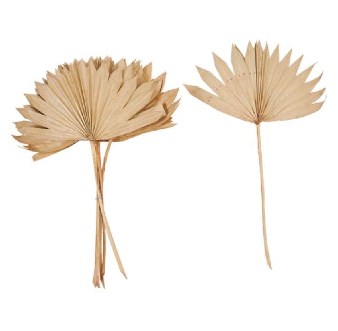 Dried Natural Sun Cut Palm Bunch