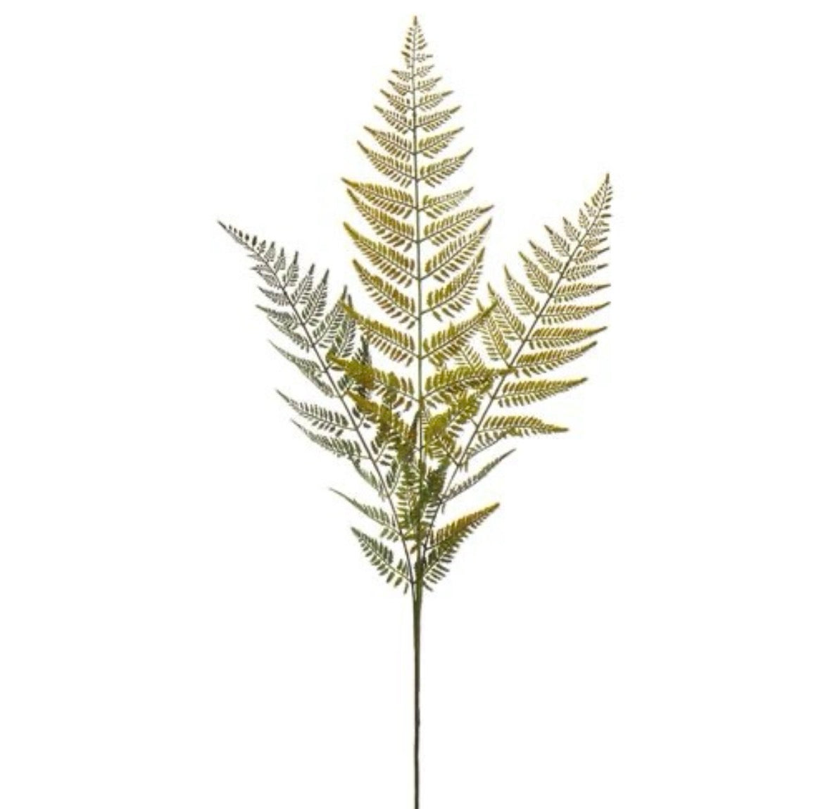 Fern Spray