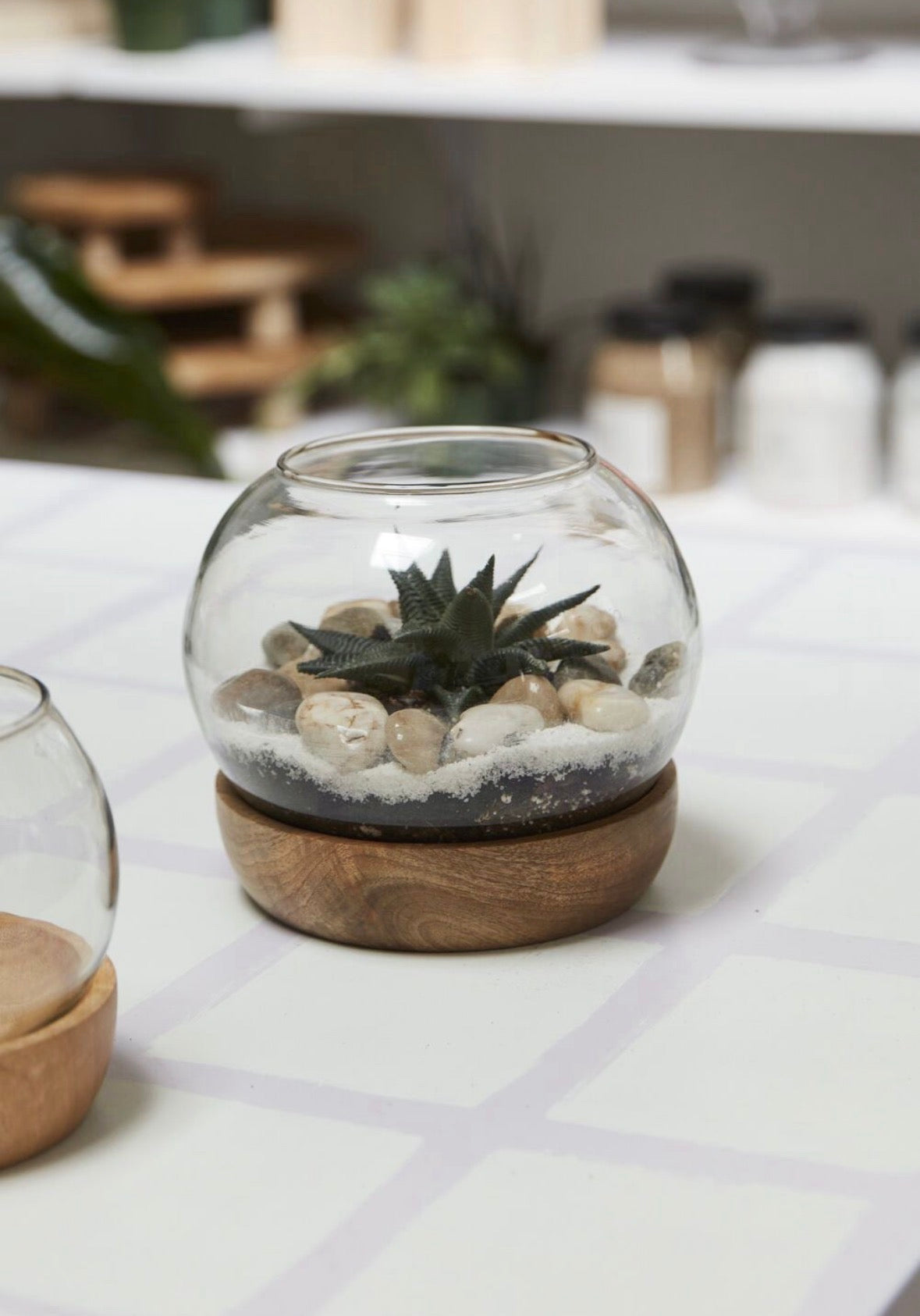 Full View Terrarium (contents not included)