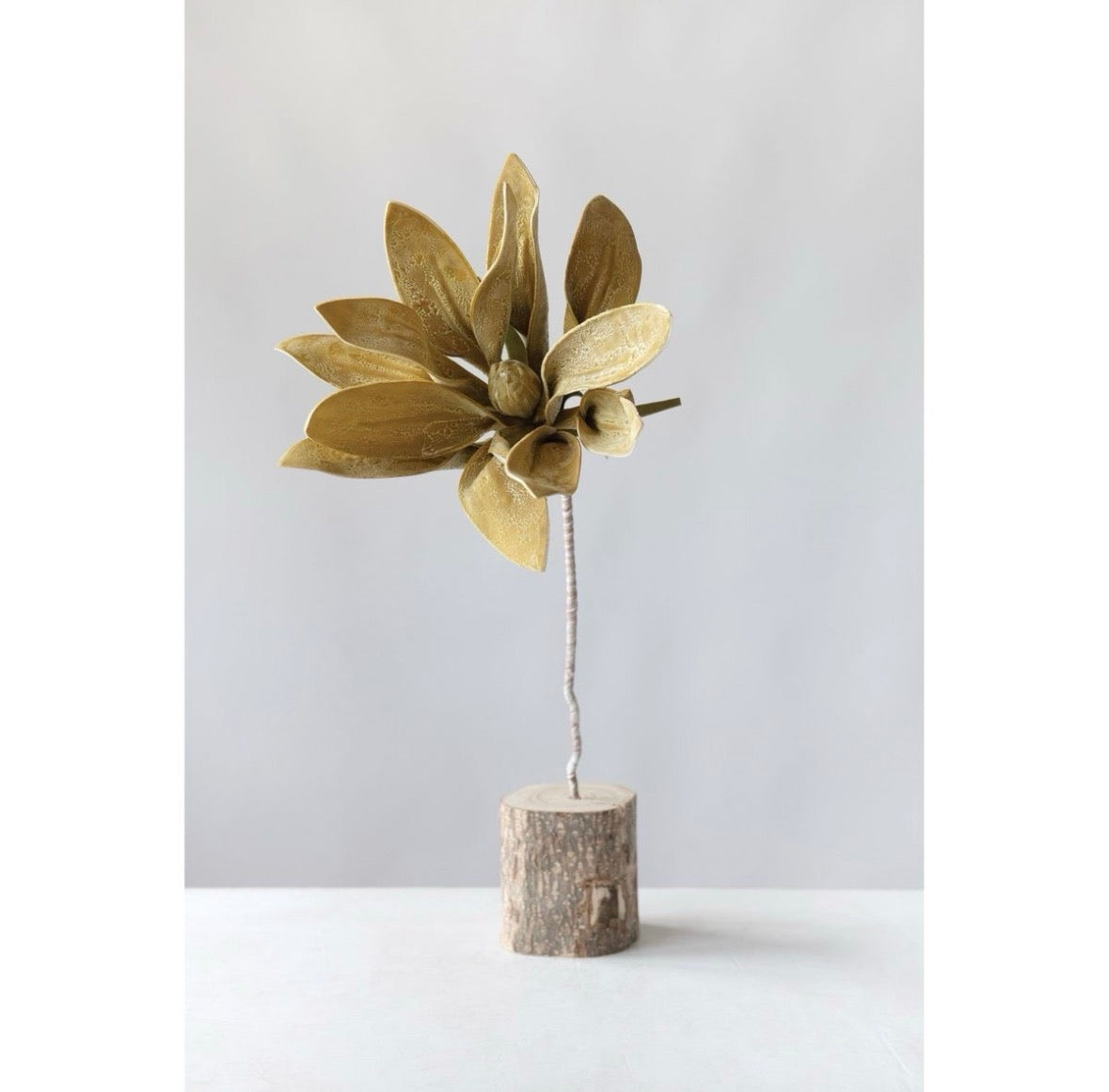 Magnolia Stem