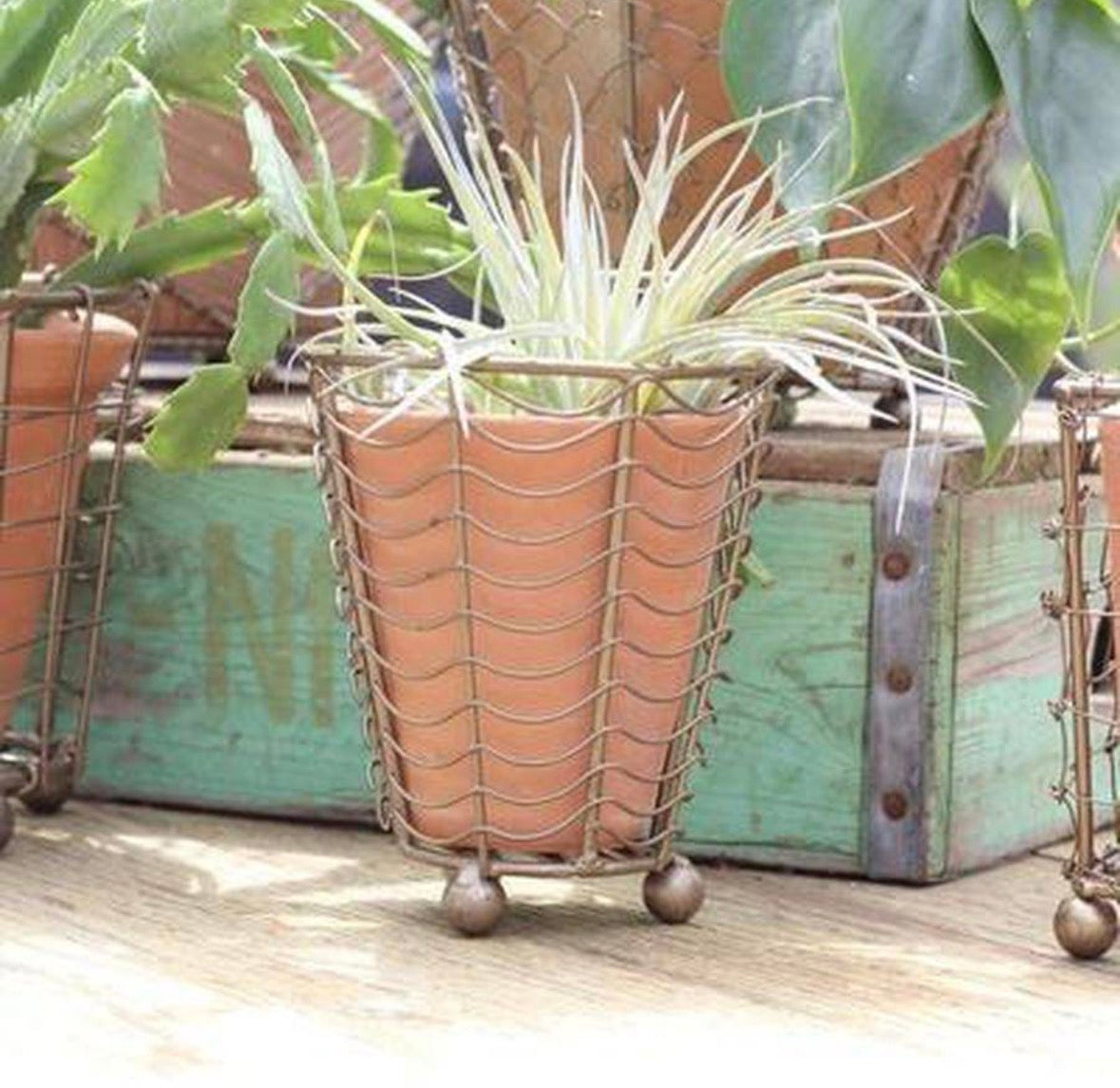 Terra Cotta Planters with Wire Wrap, 5 styles