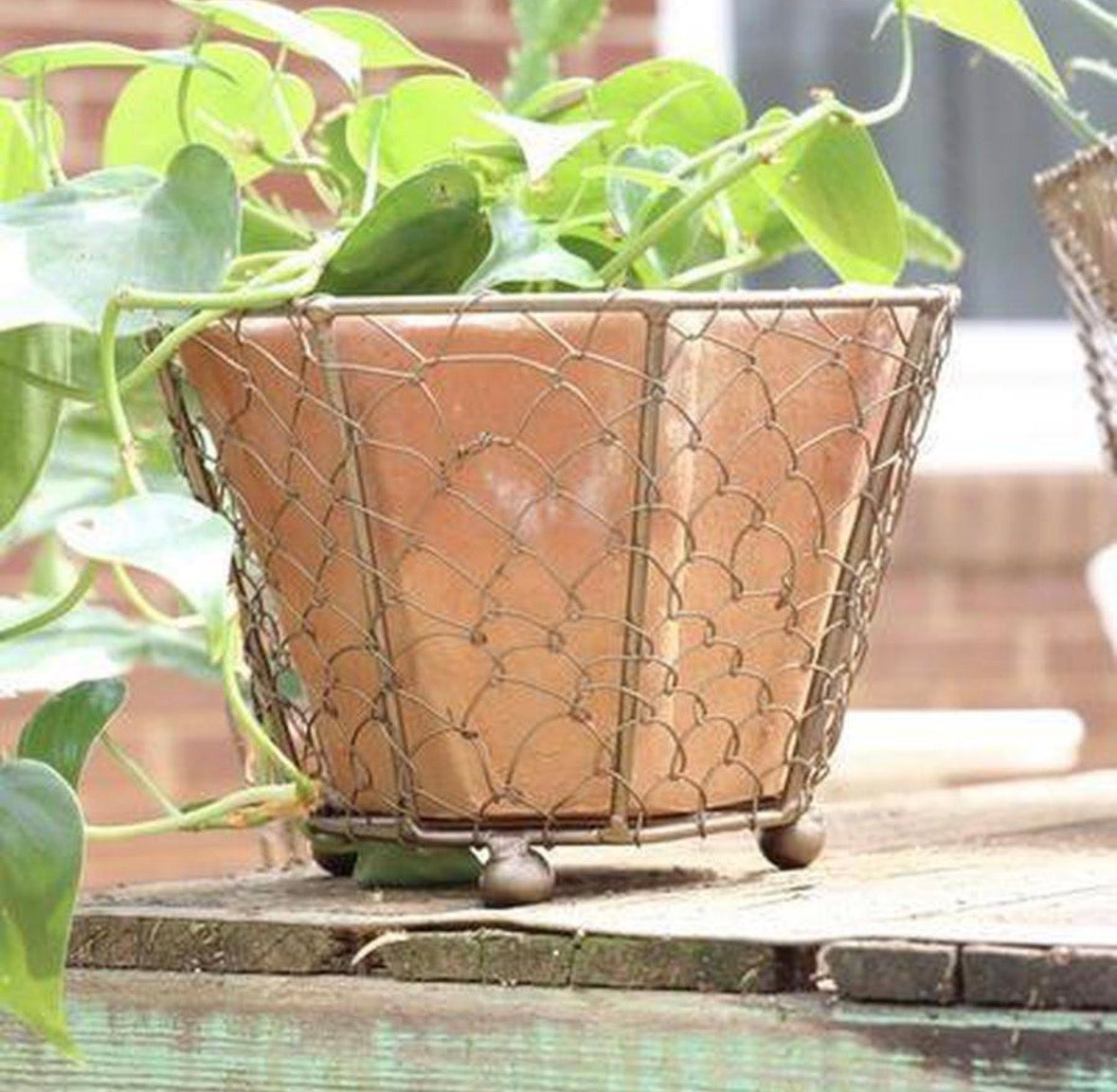 Terra Cotta Planters with Wire Wrap, 5 styles
