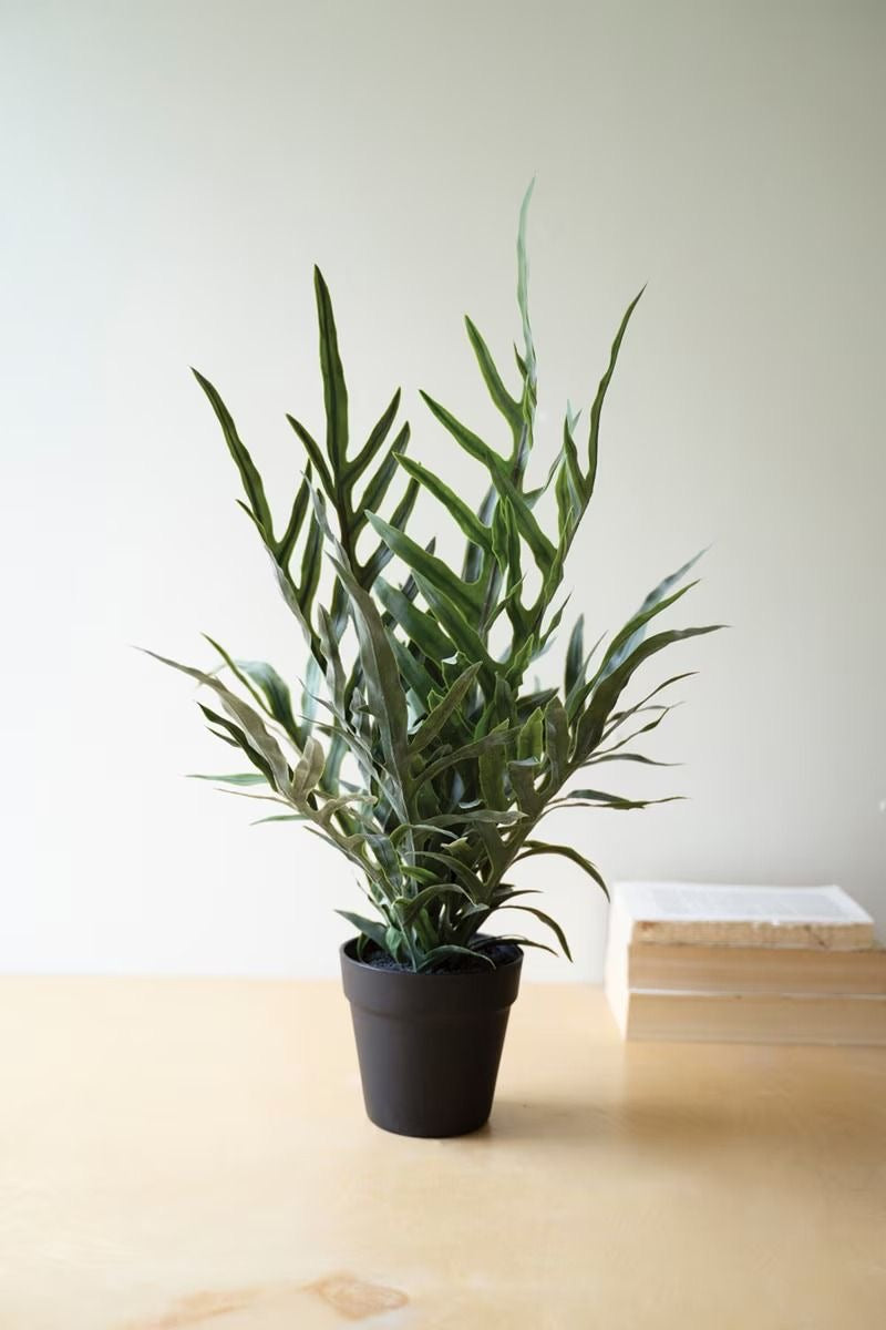 Artificial Fern