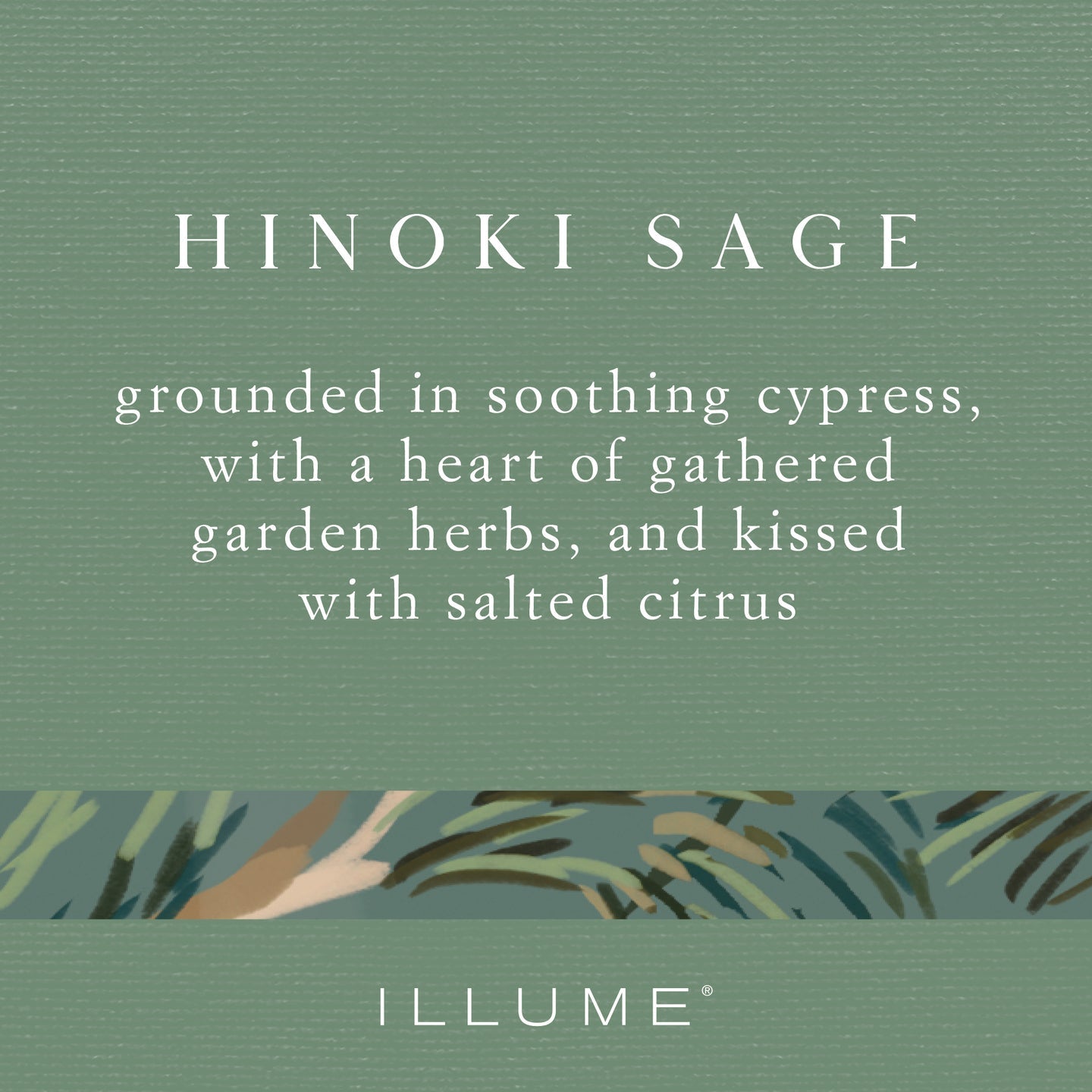 Hinoki Sage Baltic Glass Candle