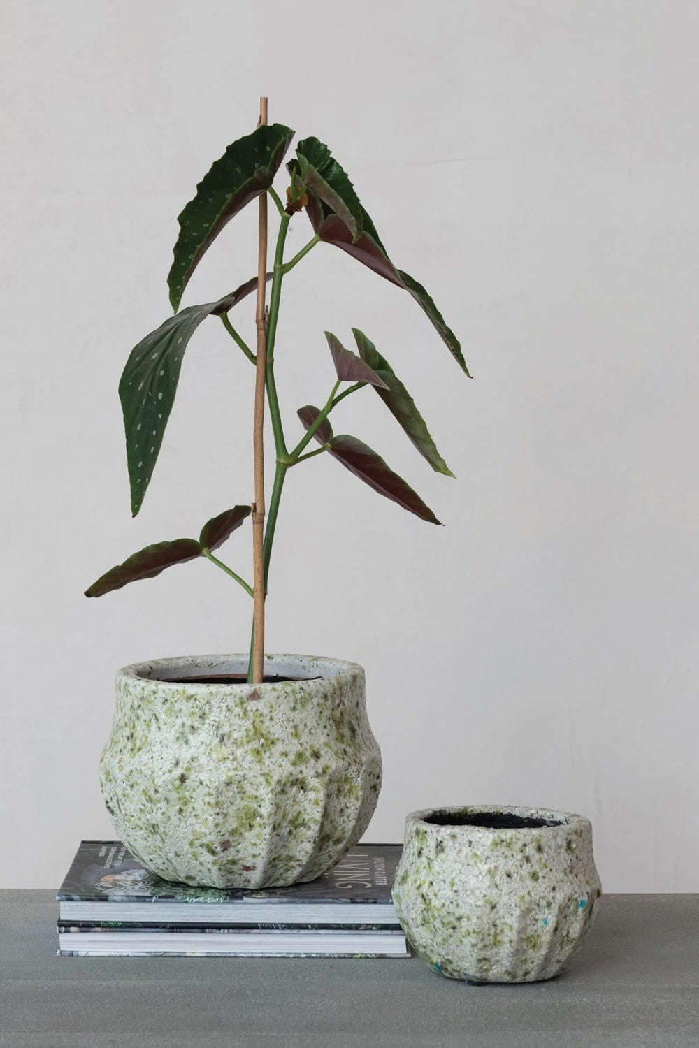 Terra-cotta Planter, Crackle Terrazzo Finish